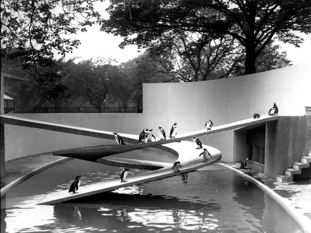 Lubetkin penguin pool London Zoo